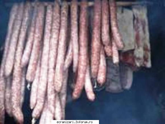 afumarea ,ms informatii utile despre afumare afumarea produselor din carne ,sursele fum ,tehnica