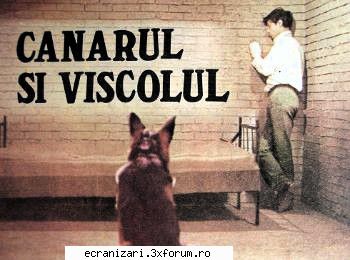 mb
xvid

  canarul si viscolul (1969)