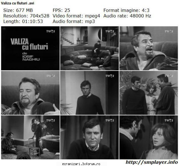 valiza cu fluturi (1975)

 

regia / sanda / valeria seciu, ovidiu iuliu moldovan, ion  valiza cu